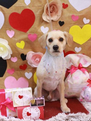 20230202ユキチくん